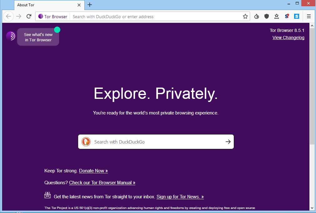 tor browser window