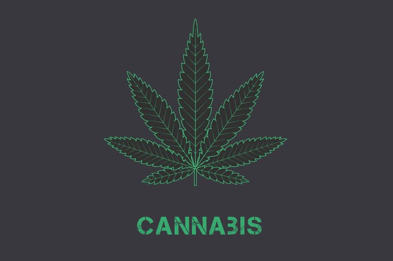 cannabis